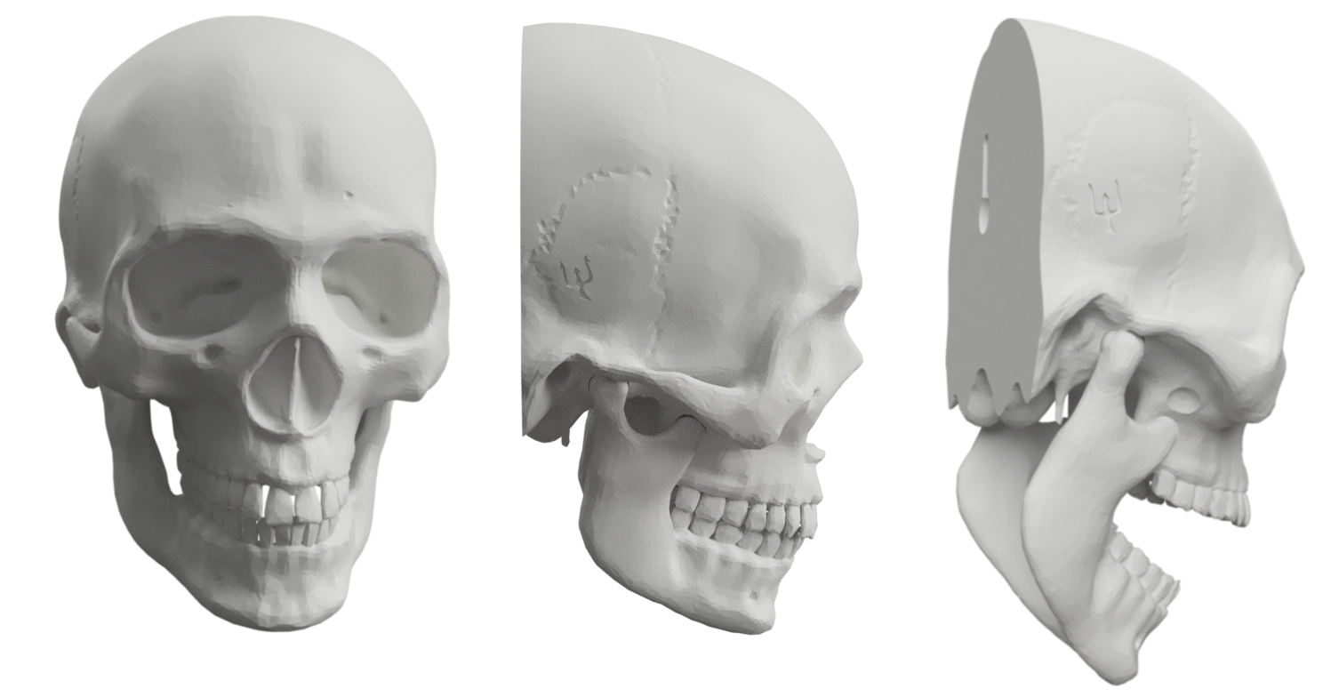 Meshmixed skull cover image